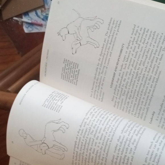 Book - Picture 3 of 4